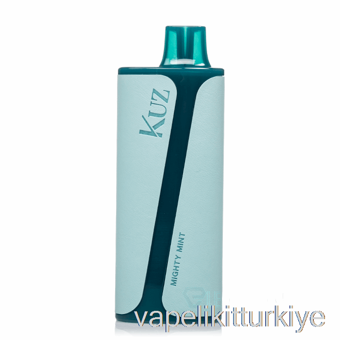 Vape Türkiye Kuz 9000 Tek Kullanımlık Güçlü Nane